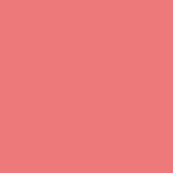 Blush liquide Smart Cheek - 104>GOLDEN ROSE Clearance