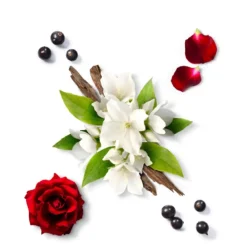 Eau de parfum - Elixir pour Elle><noscript><img width=