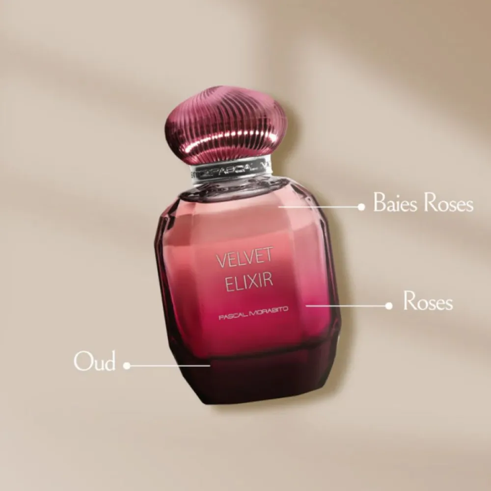 Eau de parfum - Velvet elixir>PASCAL MORABITO Outlet