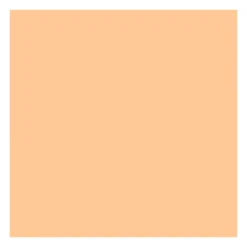Fond de teint Correcteur 2-en-1 - Cool beige>ABSOLUTE NEW YORK Sale