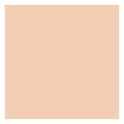 Fond de teint poudre compacte matifiante - Neutral Ivory>ABSOLUTE NEW YORK Fashion