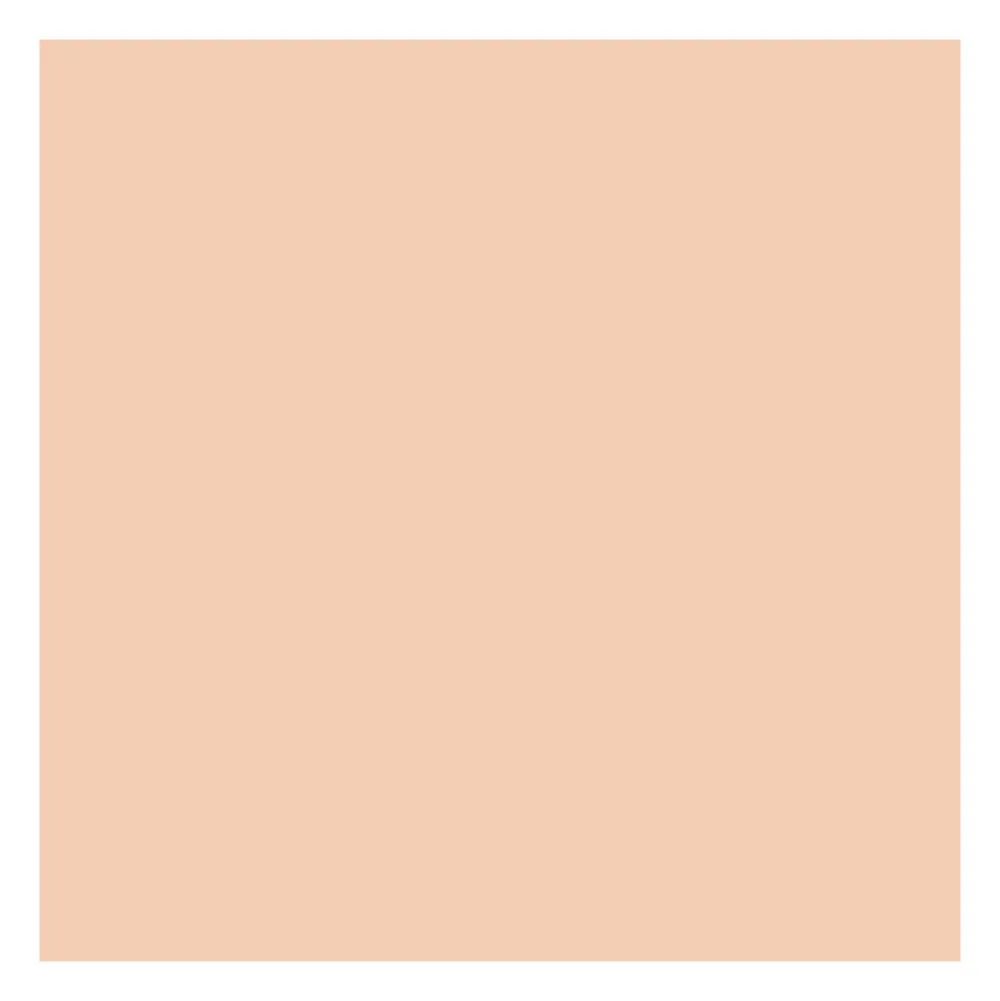 Fond de teint poudre compacte matifiante - Neutral Ivory>ABSOLUTE NEW YORK Fashion