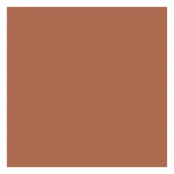 Fond de teint poudre compacte matifiante - Neutral Bronze>ABSOLUTE NEW YORK New