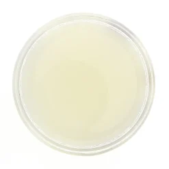 Gommage corporel - Noix de coco - Mer Made Rituels>O RARE Best